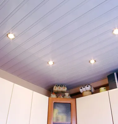 Потолок из панелей ПВХ на кухне (63 фото)