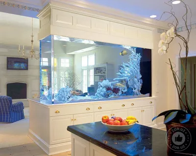 Кухня с аквариумом - 69 фото
