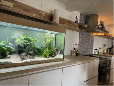 Как красиво оформить аквариумы. 20 фото - Наш Дом и Сад
