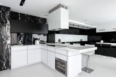 Черно белая кухня дизайн интерьер - 69 фото