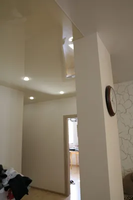 Дизайн гостиной, кухни и прихожей, объединеных натяжными потолками двух  цветов и фактур в одном уровне