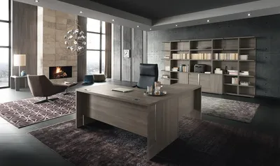 ᐉ Дизайн интерьера кабинета - Заказать проект дизайна рабочего кабинета  дома в квартире- PAINTIT