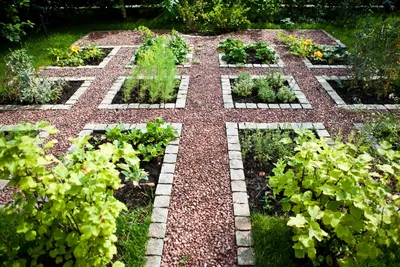 Декоративный огород — идеи для вдохновения и полезные советы — Ботаничка