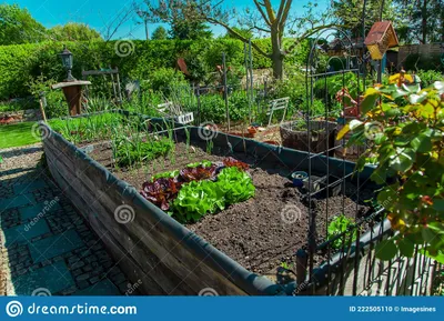 частный огород. ландшафтный дизайн в саду дома красивое озеленение на  заднем дворе Стоковое Фото - изображение насчитывающей средства, ландшафт:  222505110