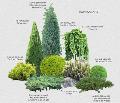 Ландшафтный дизайн только с любовью – 8 идей садовых композиций | Дизайн  участка (Огород.ru)