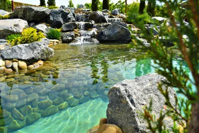 пруд под ключ, пруды водоемы водопады фонтаны, пруд водопад альпинарий, ландшафтный  дизайн | Royal Forest
