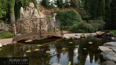 Декоративный пруд с мостиком – Ландшафтный дизайн — заказать услуги  дизайнера ландшафта Константина Юдина