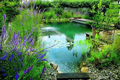 Декоративный пруд в саду | Ландшафтный дизайн | Дзен