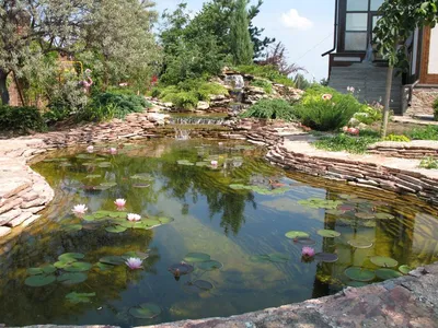 Искусственный пруд - Зеленый сад