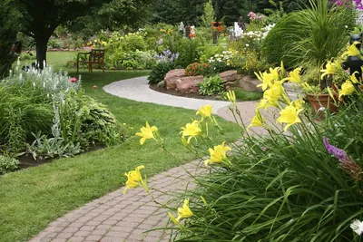 Лилейники в ландшафтном дизайне сада, фото