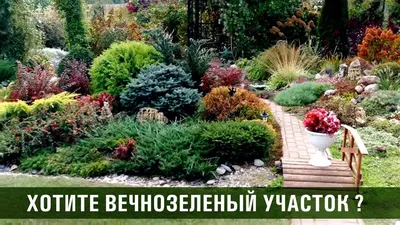Цены «Анками - стильный ландшафтный дизайн» в Иркутске — Яндекс Карты