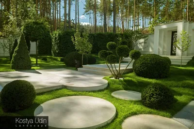 Ландшафтный дизайн сада ландшафтный сад с растениями Стоковое Изображение -  изображение насчитывающей свеже, цветки: 212913833