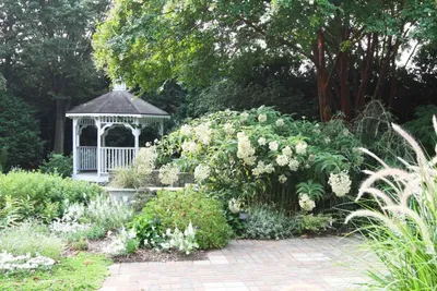 Ландшафтный дизайн сада дворе с ростом орнаментальным строки. Стоковое Фото  - изображение насчитывающей сад, беседок: 208176346