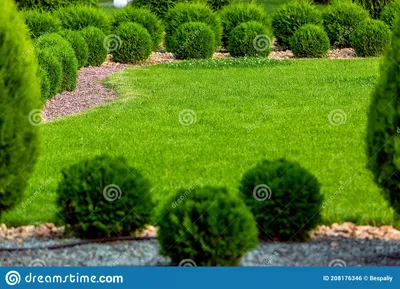 фото ландшафтного дизайна - Поиск в Google | Озеленение заднего двора, Дизайн  сада, Дизайн озеленение