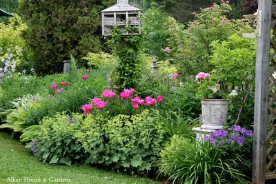 Садовая герань многолетняя в ландшафтном дизайне - 47 фото