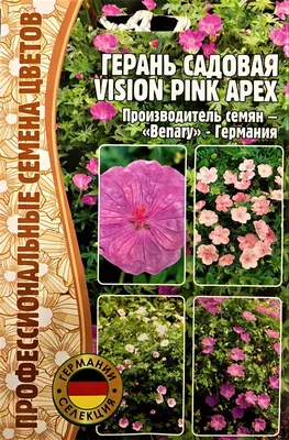 семена герань садовая vision pink apex садовая 3шт редкие семена