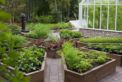 Это красиво: 30+ лучших идей для огородных грядок — INMYROOM