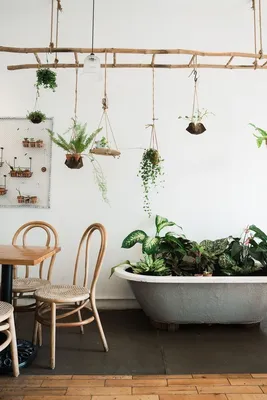 27 вариантов размещения комнатных растений, актуальные идеи дизайна  интерьера и дизайнерская мебель на портале HIS.UA