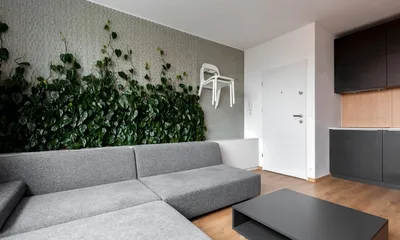 Комнатные растения в интерьере дома / квартиры \u003e 60 фото-идей оформления  интерьера растениями