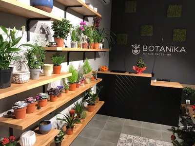 Больше не работает: Магазин комнатных растений Ботаника, магазин цветов,  Москва, Бауманская улица, 9 — Яндекс Карты