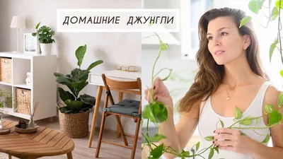 Растения в моем доме и простой уход за комнатными цветами. - YouTube