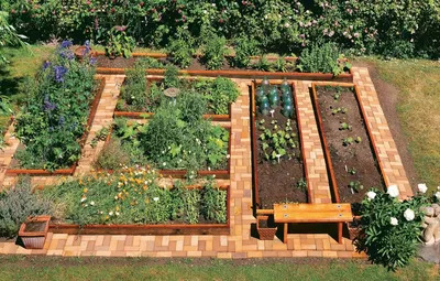 Позвольте огороду быть красивым » Онлайн-журнал Солнышко - садоводам,  цветоводам огородникам и дачникам.