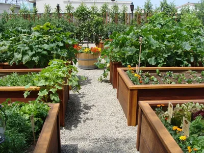 Необычные грядки для вашего сада: оформляем огород | Школа садовода | Дзен