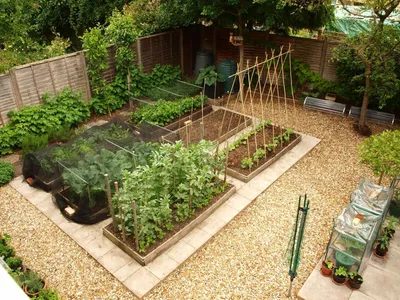 Планировка сада – примеры готовых схем