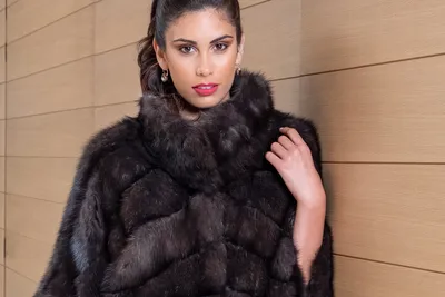 Все о соболе - Шубы из соболя и их особенности - Dubai Furs Shop