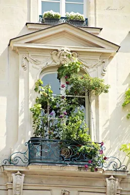 Французский балкон - в чем особенность? ТОП-100 фото дизайна