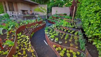Декоративный огород с грядками в ландшафтном дизайне, фото