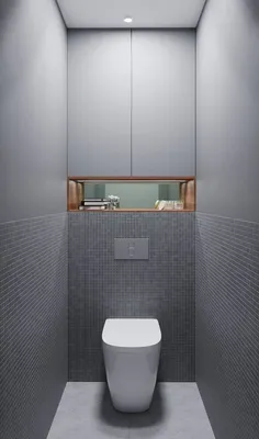 Дизайн туалета: основы создания стильного и функционального пространства  [88 фото]