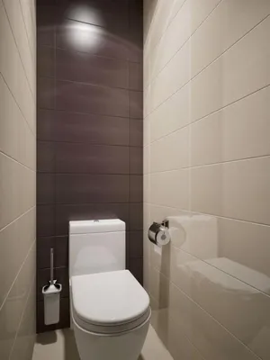 Дизайн туалетной комнаты маленького размера: фото, современные идеи |  DomoKed.ru