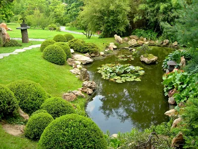 Ландшафтный дизайн | Пампасная трава или Кортадерия - африканская красавица  в вашем саду | Facebook