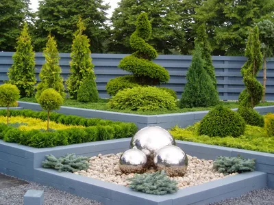 Красивые виды и сорта хвойников для дизайна сада и дачи — Дом и Сад