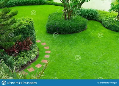 Ландшафтный дизайн, свежие накосил газон. Ландшафтный дизайн сада с  пересечение путей яркий Topview. Уход газона кустарника зелено Стоковое  Фото - изображение насчитывающей лужок, поле: 202332082