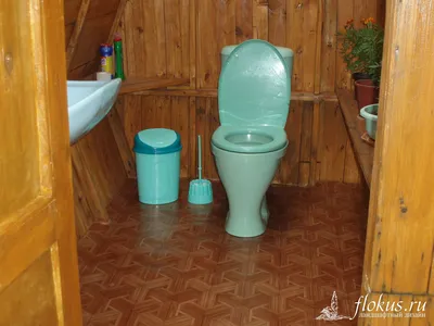 Дачный туалет с прозрачной крышей своими руками | flokus.ru - ландшафтный  дизайн