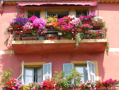 Цветы на балконе - шикарные варианты оформления