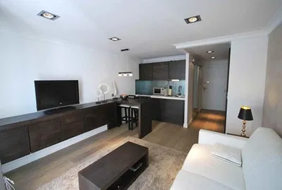 Дизайн квартиры студии 26 кв.м фото как ограничить спальню от кухни