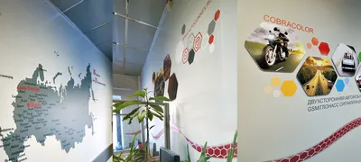 Оформление стен офиса «АВТОКОННЕКС» студией 33dodo