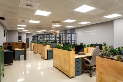 Дизайн офиса IT-компании с нетривиальными и современными решениями