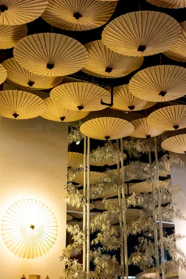 File:Необычный дизайн суши-бара с потолком, украшенным зонтиками.jpg -  Wikimedia Commons