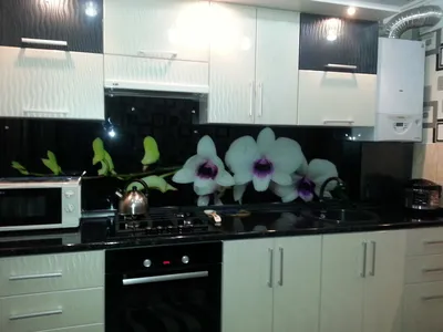 Дизайн черно-белой кухни | Дизайн квартир фото - белая кухня - черно-белый  дизайн