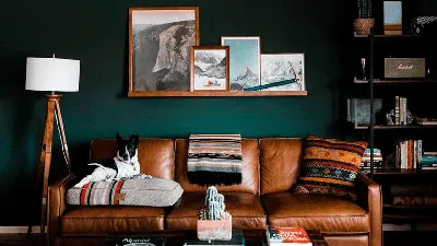 Зеленый диван в интерьере. Изумрудный диван в интерьере гостиной. – Статьи  Anderssen