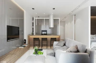 Дизайн кухни-гостиной 17 кв. м (70 фото): варианты оформления интерьера  кухонь-студий с диваном, планировка и зонирование совмещенных кухонь- гостиных