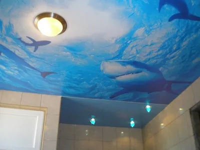 Натяжные потолки в ванной комнате | Kiger Group 73