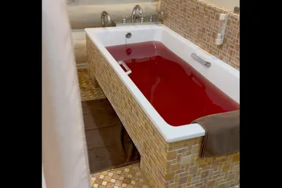 Собчак приняла ванну с красной жидкостью и показала это на видео - Мослента