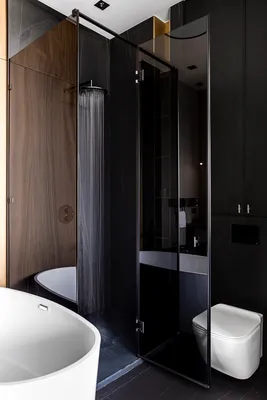 Интерьер ванной комнаты с душевой кабиной совмещенной с туалетом – 55 фото  реальных проектов