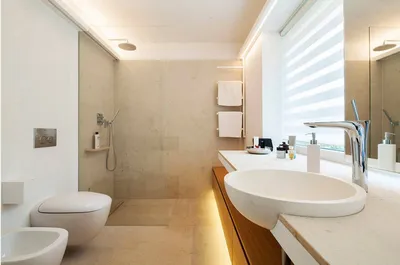 Дизайн объединенных ванных комнат и туалетов (59 фото)