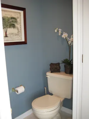 Крашеные стены в туалете (75 фото)
